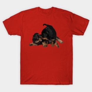 Rottweiler Puppies Playing Vector Isolated T-Shirt